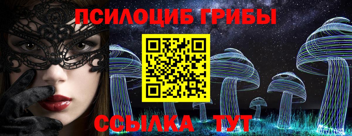 Междуреченск  Псилоцибиновые грибы MAGIC MUSHROOMS  Псилоцибиновые грибы Cubensis  Вход с VPN 