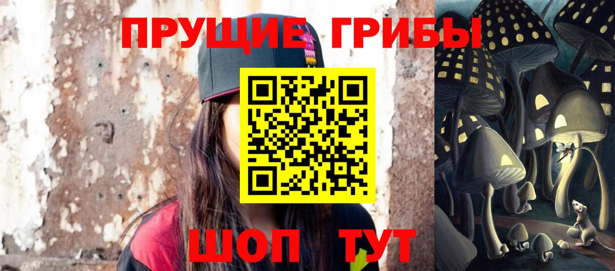 LSD-25 Междуреченск
